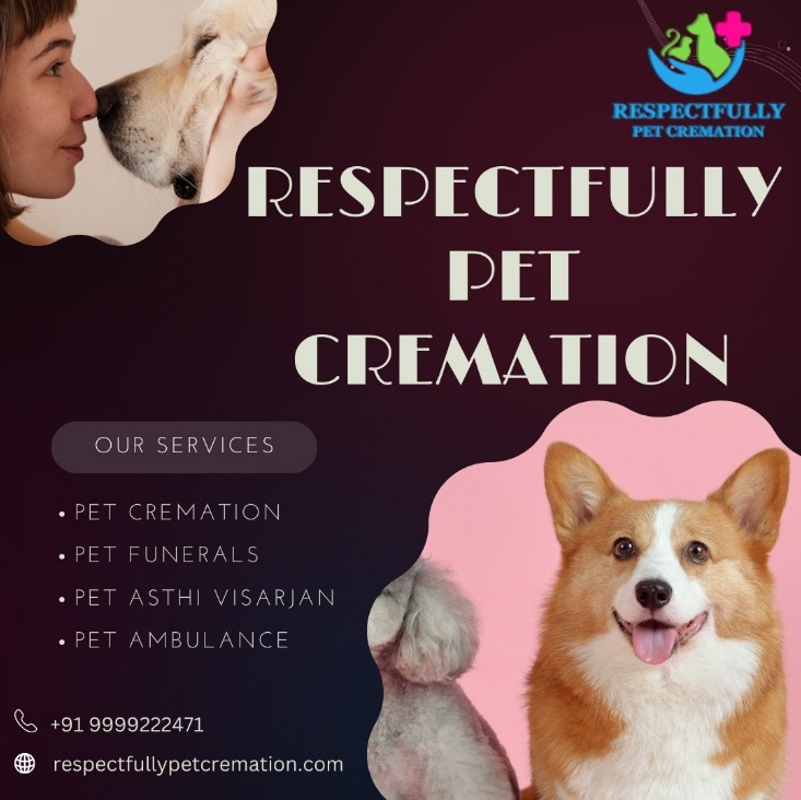 Respectfully Pet Cremation